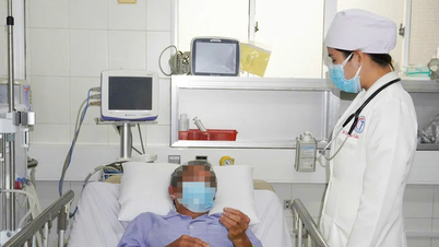 Can Tho: 3 patiënten ernstig ziek door vergiftiging door kogelvissen.