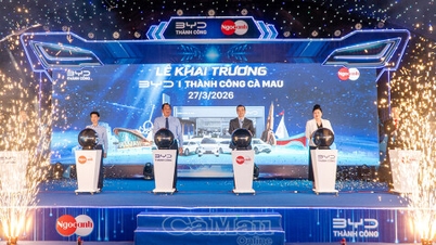 BYD Thanh Cong Ca Mau 4Sショールーム：「環境に優しい輸送」ソリューション。