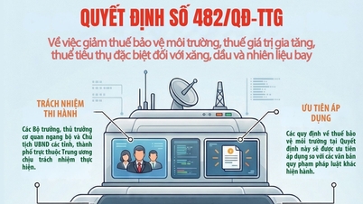 Giảm thuế xăng dầu, nhiên liệu bay, góp phần ổn định thị trường năng lượng