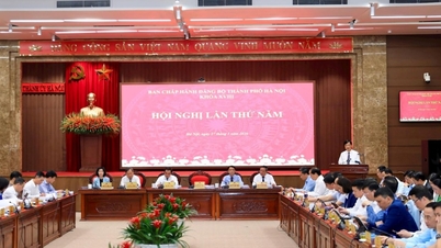 হ্যানয় সিটি পার্টি কমিটির কার্যনির্বাহী কমিটির ১৮তম মেয়াদের পঞ্চম সম্মেলন