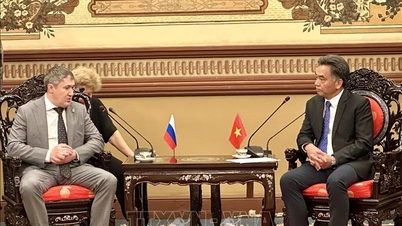 Fremme samarbeid mellom Ho Chi Minh-byen og lokaliteter i Russland.
