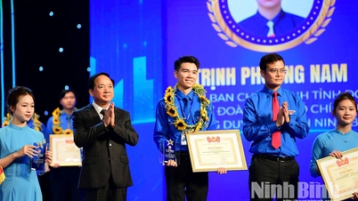 Tre ungdomsforbundsrepresentanter fra Ninh Binh ble tildelt Ly Tu Trong-prisen i 2026.