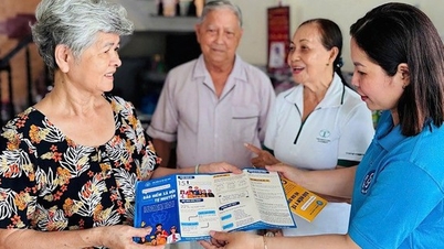 Procedimiento para participar en el seguro complementario de jubilación