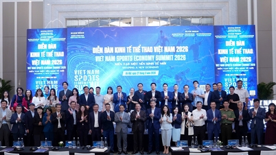 Vietnamese sports generate economic value.