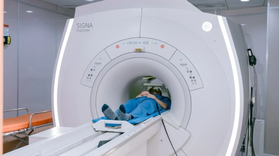 Le syndrome de Muller-Weiss, extrêmement rare, provoque une nécrose de l'os naviculaire.