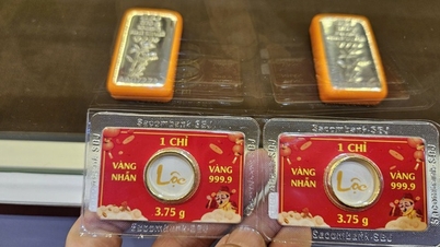 Sent den 27. mars økte SJC Company, Bao Tin Minh Chau og Bao Tin Manh Hai salgsprisen på gullbarrer og gullringer.