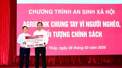 Oddział Agribank Binh Thuy w Can Tho przekazał 50 darowizn socjalnych rodzinom uprawnionym do preferencyjnych polis.