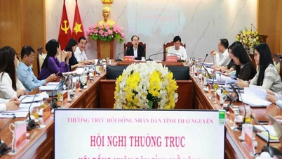 Menepati janji yang dibuat kepada para pemilih di Thai Nguyen.