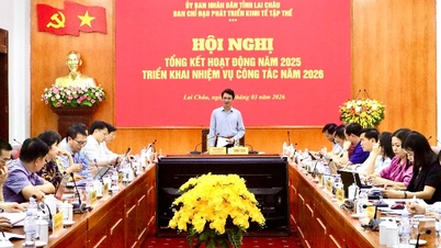Provincial Steering Committee for Collective Economic Development: Implementing tasks for 2026