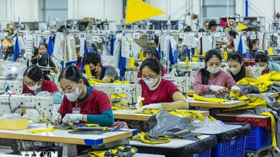 Kết quả thực hiện đào tạo nghề nông nghiệp cho lao động nông thôn giai đoạn 2021 – 2025
