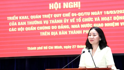 Cidade de Ho Chi Minh: Implementação de regulamentos sobre a organização e o funcionamento de organizações de massa.
