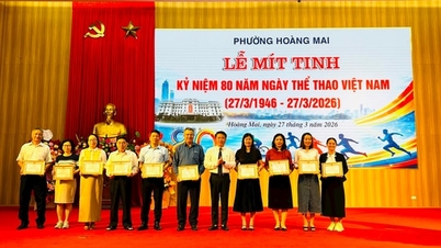 Hoang Mai Bölgesi, yaygın ve pratik spor faaliyetlerini teşvik etmektedir.