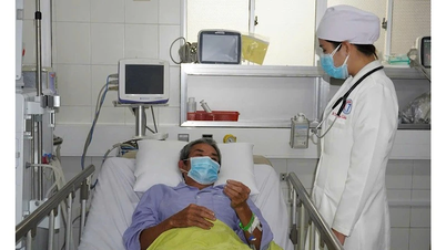 Tiga kasus keracunan ikan buntal berturut-turut memerlukan rawat inap.