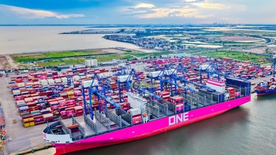 Pengurangan yuran untuk perkhidmatan pemaliman maritim untuk kapal Vietnam.