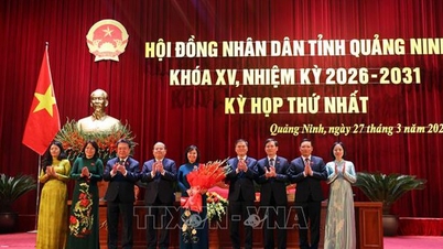 ខេត្តបាក់និញ ខេត្តក្វាងនិញ និងខេត្តនិញប៊ិញកំពុងធ្វើឱ្យការរៀបចំឧបករណ៍រដ្ឋាភិបាលមូលដ្ឋានរបស់ពួកគេកាន់តែមានប្រសិទ្ធភាព។