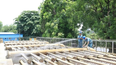 Hanoi está implementando la Resolución 79-NQ/TW en detalle: