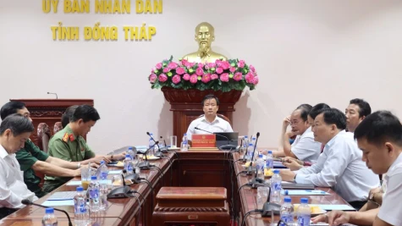 Solusi konkret harus diberikan untuk mengatasi masalah-masalah yang belum terselesaikan dalam memerangi penangkapan ikan ilegal, tidak dilaporkan, dan tidak diatur (IUU).