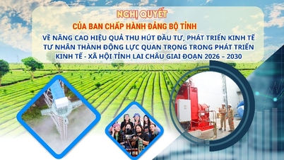 Resolution on enhancing the effectiveness of investment attraction and developing the private economy as an important driving force in the socio-economic development of Lai Chau province in the period 2026 – 2030
