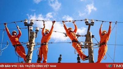 ប្រធាន EVN ពន្យល់ពីមូលហេតុនៃតម្រូវការវិនិយោគធំៗ។