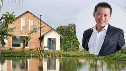 People's Artist Ta Minh Tam, 66 years old, lives peacefully in his 3,000m2 garden house.