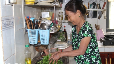 Llevar agua potable a An Viễn