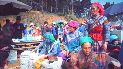A journey of cultural exploration through "Ethnic Colors"