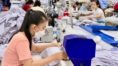 La zona económica de Dung Quat y otros parques industriales en la provincia de Quang Ngai han creado puestos de trabajo para más de 81.000 trabajadores.