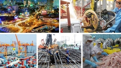 Resolution 79: The Leadership Challenge for State-Owned Enterprises