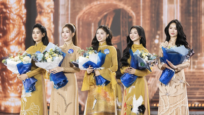 Who will be crowned Miss World Vietnam 2025?
