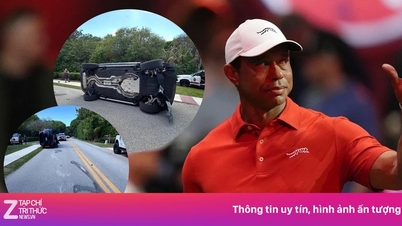 Tiger Woods was arrested after causing an accident.