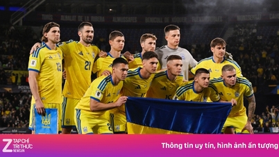 Uang dan barang berharga tim nasional Ukraina dicuri.