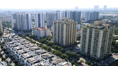ידיעה מיוחדת בעיתון האנוי מוי, 28 במרץ, 2026.