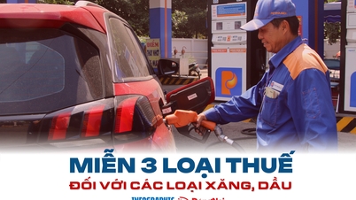 [Infographic] How are the three types of taxes on petroleum products exempted?