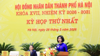 Mevrouw Phung Thi Hong Ha is verkozen tot voorzitter van de gemeenteraad van Hanoi voor de 17e termijn.