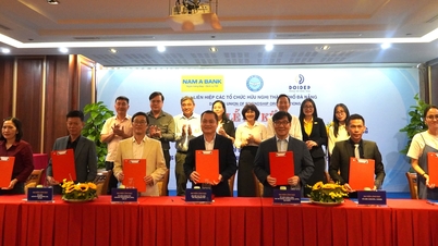 Șase organizații internaționale au promis aproape 70 de miliarde de VND pentru finanțarea unor proiecte în Da Nang.