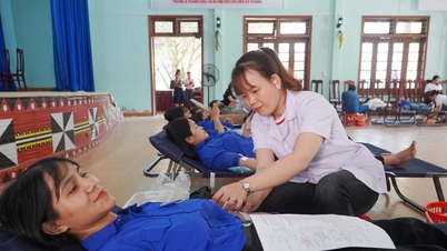 De gemeenten Nam Tra My, Tra Linh en Tra Van hebben samen meer dan 120 eenheden bloed gedoneerd.