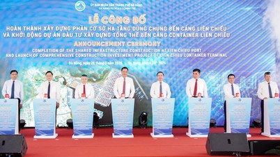 Lancement du projet de « mégaport » Lien Chieu à Da Nang.