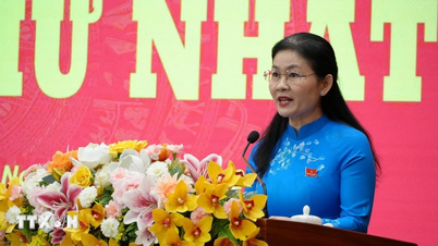 Strengthening the leadership personnel of the Dong Nai Provincial People's Council and People's Committee for the 2026-2031 term.