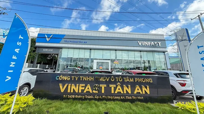Ägare av VinFast-återförsäljaren: "Fordonsförsäljningen ökar kraftigt och serviceintäkterna växer kraftigt."