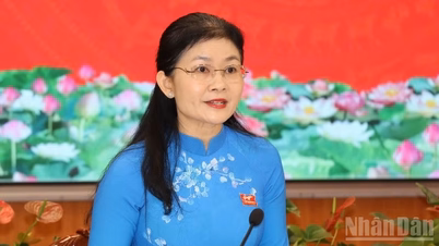 Ton Ngoc Hanh elvtársat választották meg Dong Nai tartomány Népi Tanácsának elnökévé.