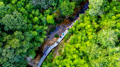 Vietnam recibe aproximadamente 1,9 billones de VND para financiar los esfuerzos destinados a reducir las emisiones procedentes de los bosques.