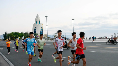 ティエンフォンマラソン2026：スポーツ精神の普及と地域社会の発展におけるSABECOの貢献。