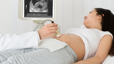 La proposition suggère que les professionnels de la santé pourraient être suspendus s'ils divulguent des informations sur le sexe d'un enfant à naître.