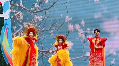 Hanoi: Peste 1.000 de delegați participă la Festivalul „Femeile din Hanoi pentru Pace și Dezvoltare”.