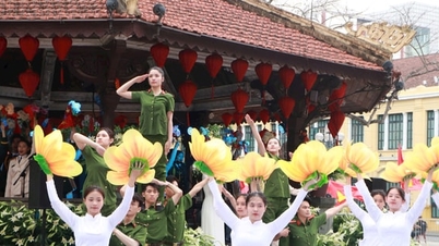 दर्शकों को "शांतिपूर्ण हनोई" की अनूठी धुनें सुनाने के लिए तैयार।