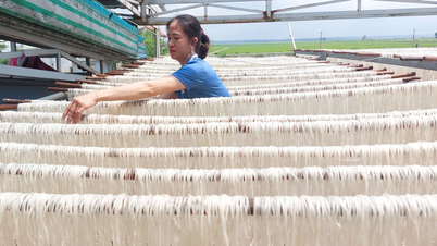 Desde granos de arroz hasta fideos vermicelli limpios.