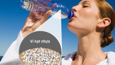 マイクロプラスチックは静かに体内に侵入する：日常的な曝露を減らすための7つの簡単な方法。