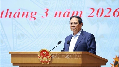 Le Premier ministre a présidé la réunion du Comité de pilotage sur le développement des sciences, des technologies, de l'innovation, de la transformation numérique et du Projet 06.
