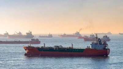 Implementing solutions for 19 Vietnamese ships in the Middle East.