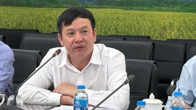 Many fertilizer factories are operating at full capacity, maintaining reasonable selling prices.